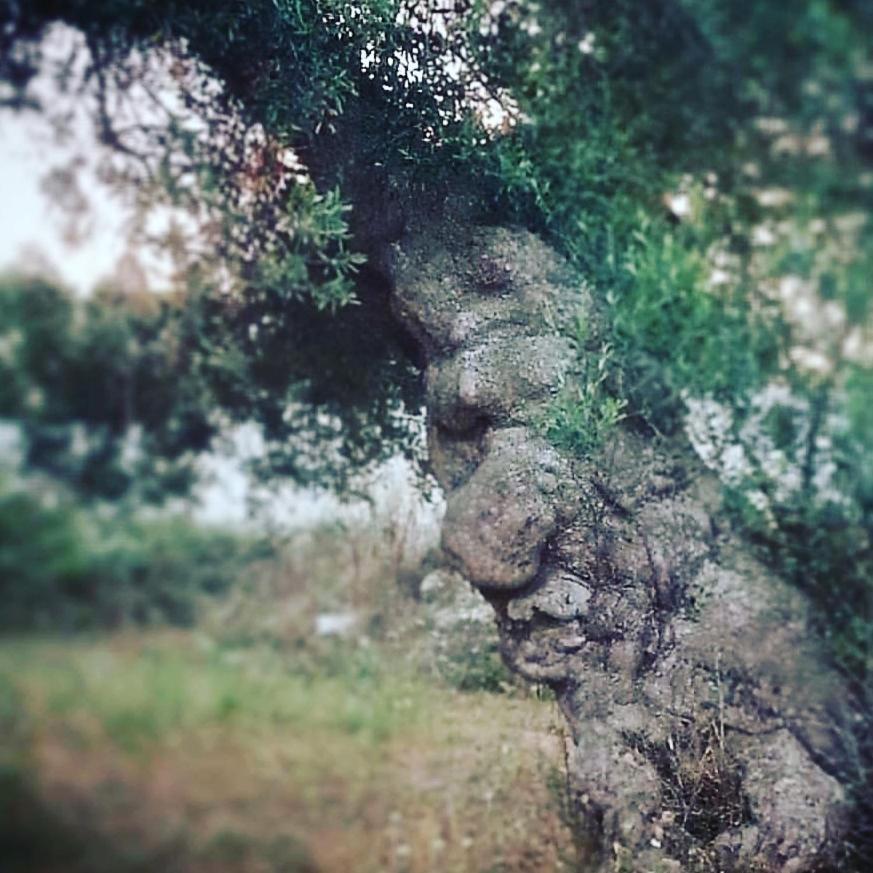 Tenuta Guarascio Cavallino di Lecce Exterior foto